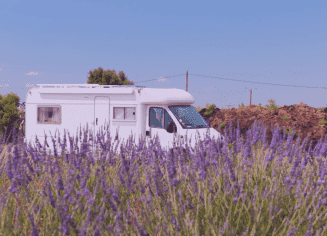 motorhome-in-lavender-field
